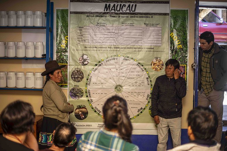 Building leadership for food systems resilience in Peru